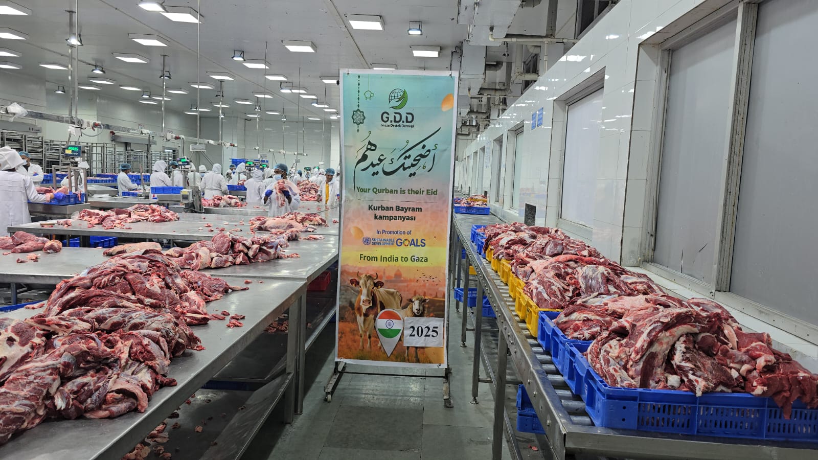 WhatsApp Image 2025-06-07 at 3.53.54 PM (1)