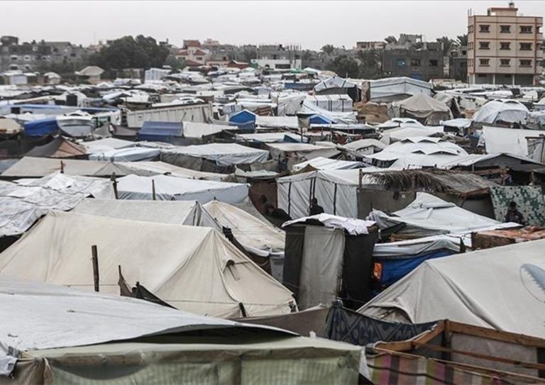 WhatsApp Image 2026-01-12 at 11.12.03 AM