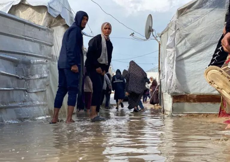 WhatsApp Image 2026-01-12 at 11.12.04 AM (3)