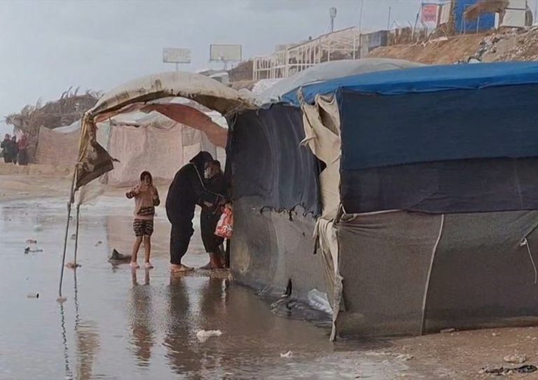 WhatsApp Image 2026-01-12 at 11.12.04 AM (8)