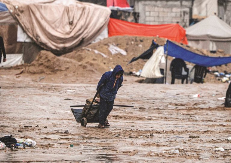 WhatsApp Image 2026-01-12 at 11.12.04 AM (9)